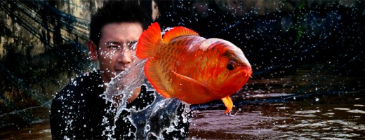 Welcome to shelookRED.com