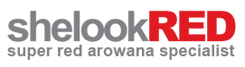 shelookred.com